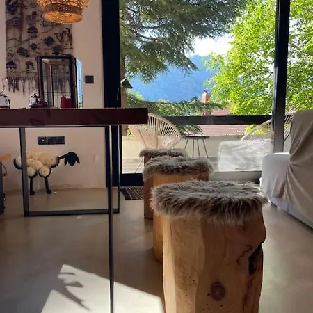 The Forest In Parnassus Chalet