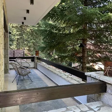 The Forest In Parnassus