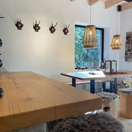 The Forest In Parnassus *