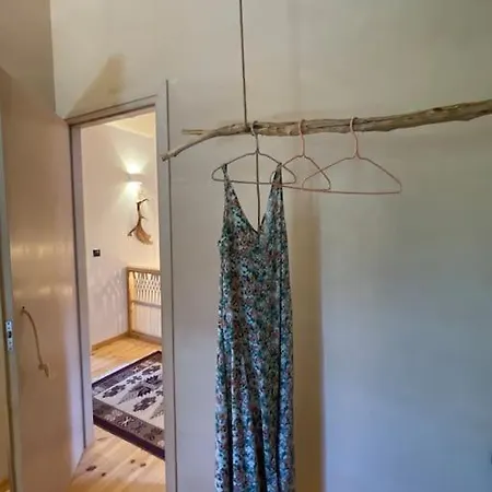 The Forest In Parnassus *