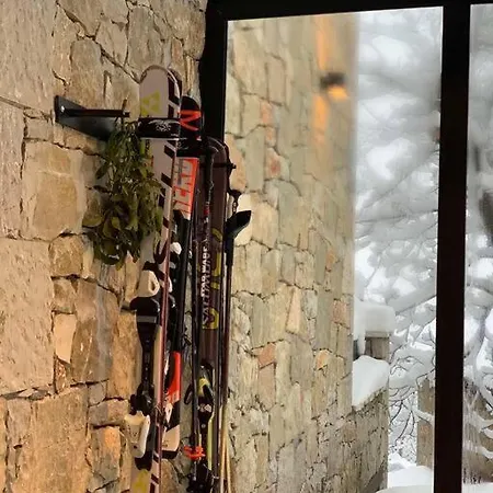 The Forest In Parnassus Chalet *