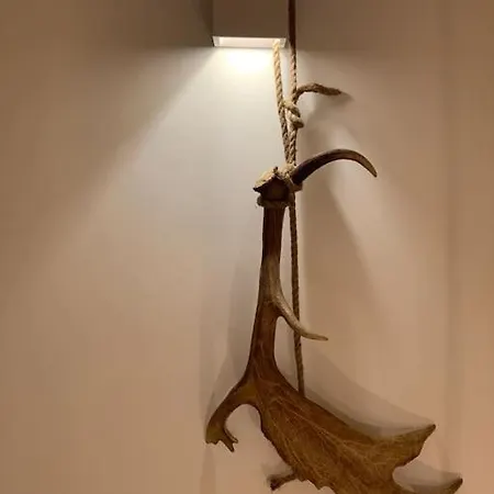 The Forest In Parnassus