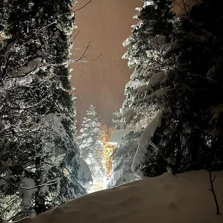 The Forest In Parnassus