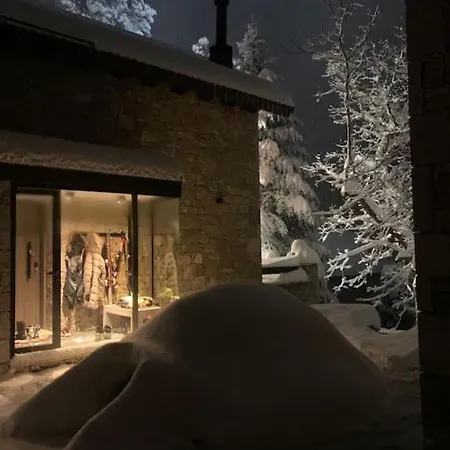 The Forest In Parnassus *